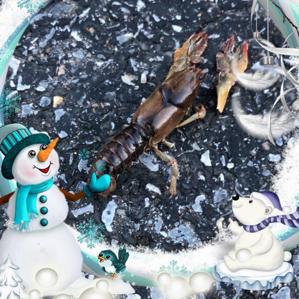 Meet your Posher, Monique